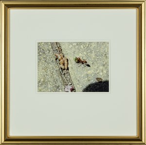 Image description is not available for 2008.019